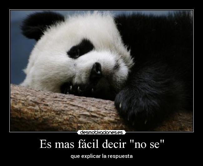 Es mas fácil decir no se -