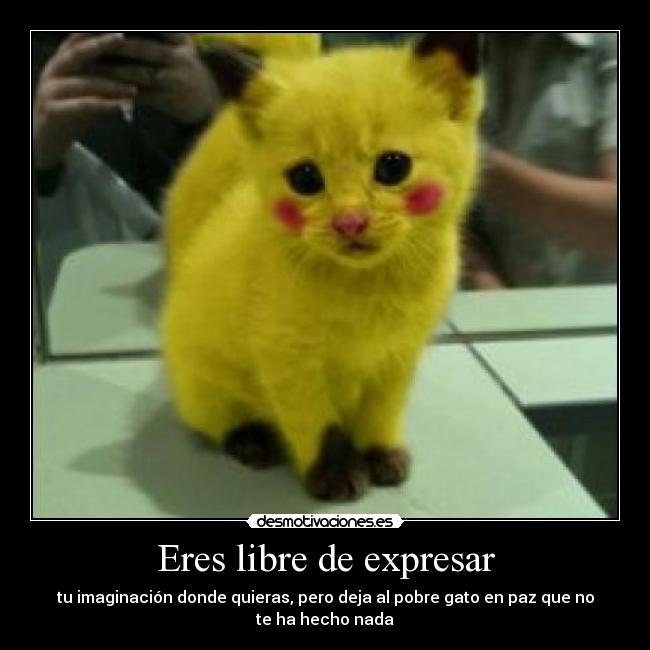 Eres libre de expresar - 