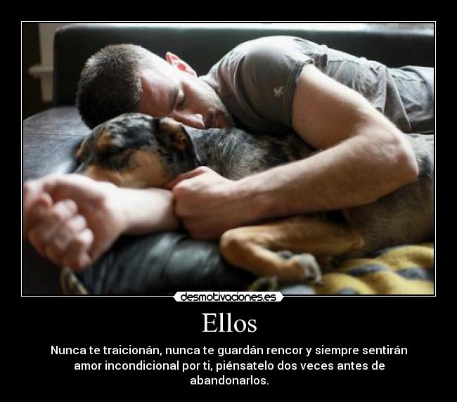 Ellos - Nunca te traicionán, nunca te guardán rencor y siempre sentirán
amor incondicional por ti, piénsatelo dos veces antes de
abandonarlos.