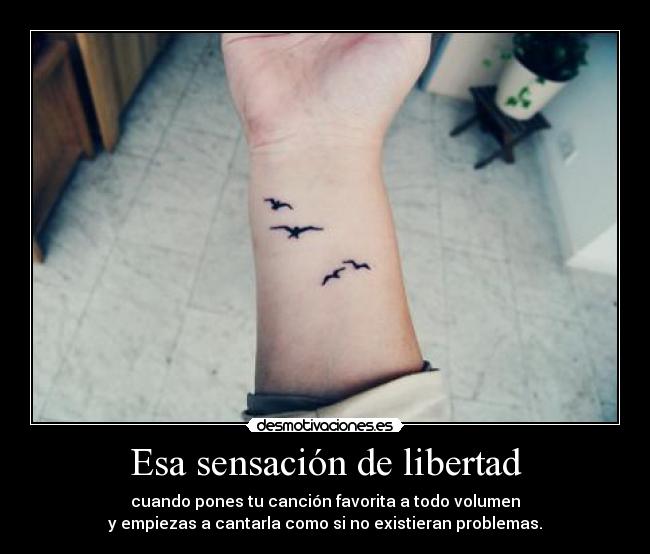 carteles libertad yajaira desmotivaciones