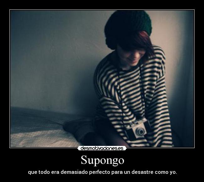 Supongo - que todo era demasiado perfecto para un desastre como yo.