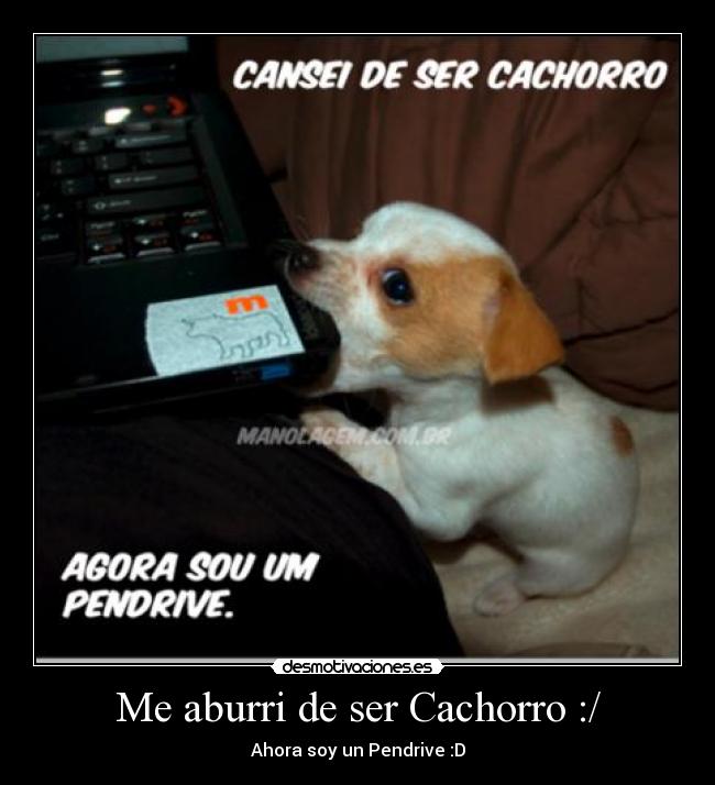 Me aburri de ser Cachorro :/ -