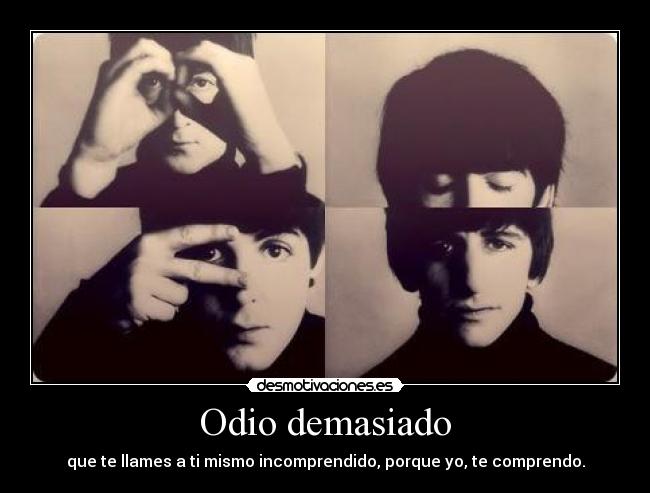 Odio demasiado - que te llames a ti mismo incomprendido, porque yo, te comprendo.