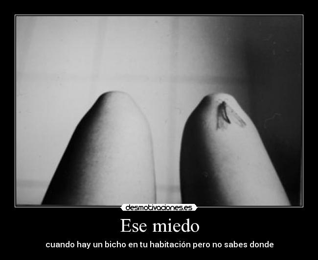 Ese miedo - cuando hay un bicho en tu habitación pero no sabes donde