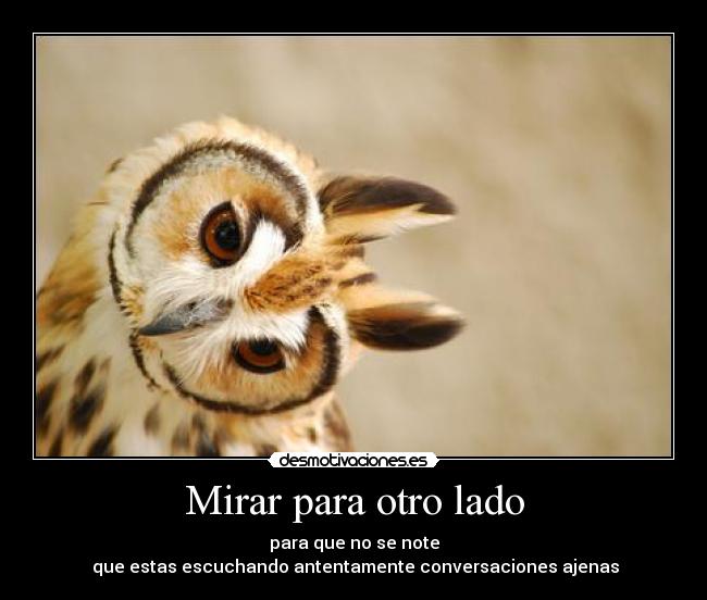carteles escuchar atentamente conversaciones ajenas mirar otro lado desmotivaciones
