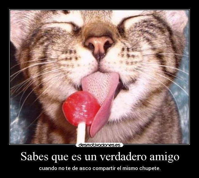 Sabes que es un verdadero amigo - cuando no te de asco compartir el mismo chupete.