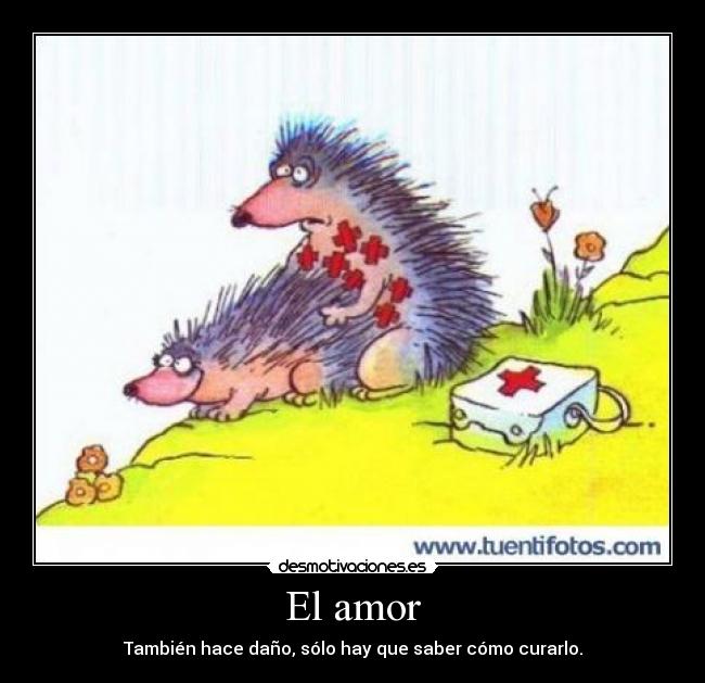 El amor -