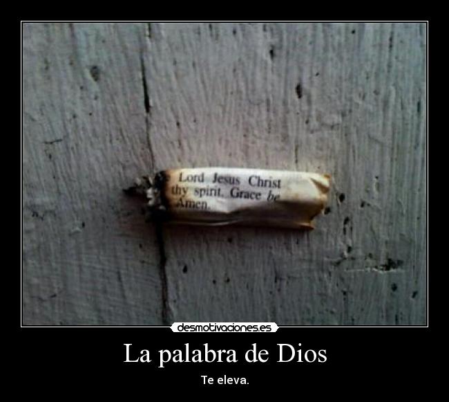 La palabra de Dios - Te eleva.