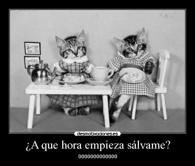 ¿A que hora empieza sálvame? - 