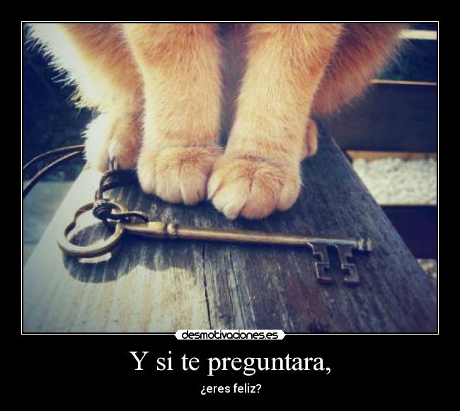 carteles sabria responder sinceramente pero creo que mas menos tifani9 desmotivaciones