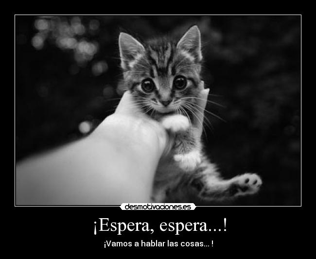 ¡Espera, espera...! - 
