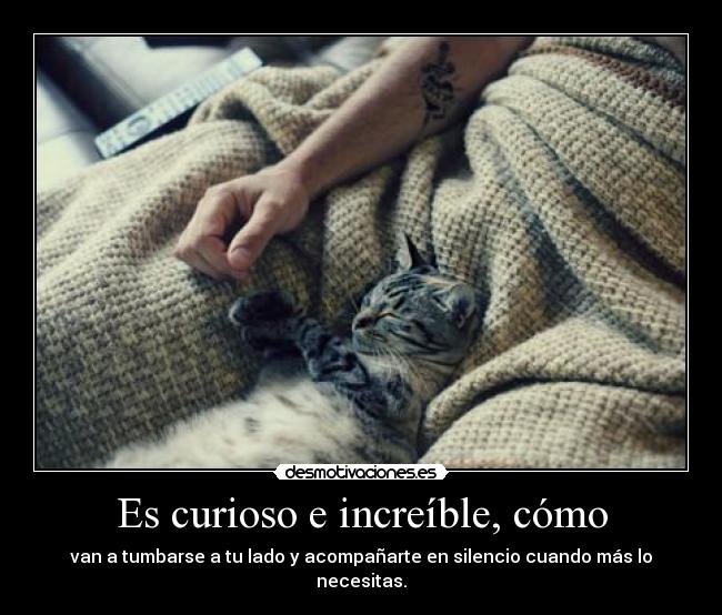 Es curioso e increíble, cómo -