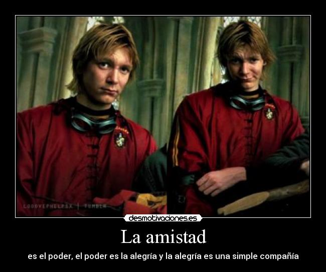 carteles amistad menudos caretos todas formas siguen siendo muy monos desmotivaciones