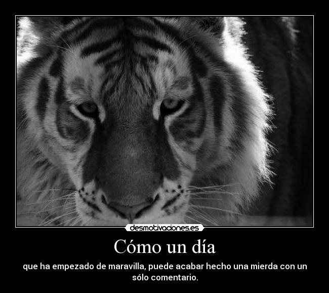 Cómo un día -