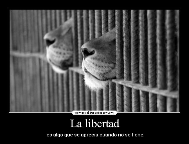 La libertad - es algo que se aprecia cuando no se tiene