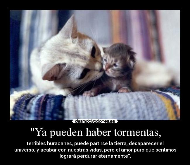 carteles frase del blog amigo prometido deuda alesito tifani9 desmotivaciones