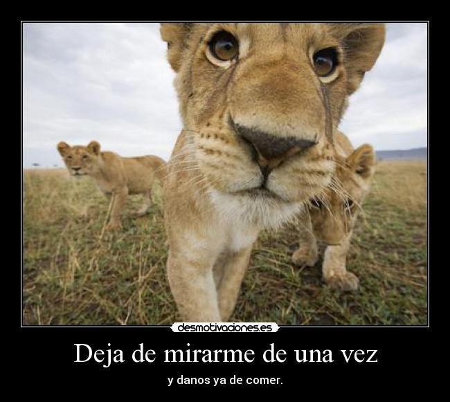 Deja de mirarme de una vez -