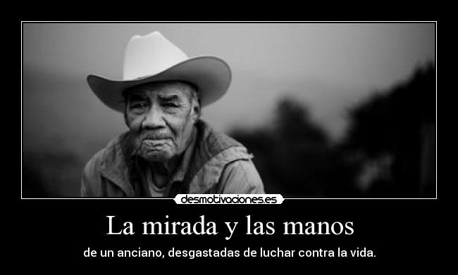 La mirada y las manos -