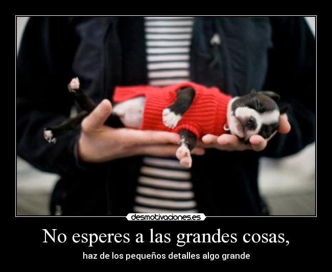 No esperes a las grandes cosas, - haz de los pequeños detalles algo grande