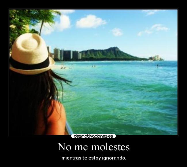 No me molestes -