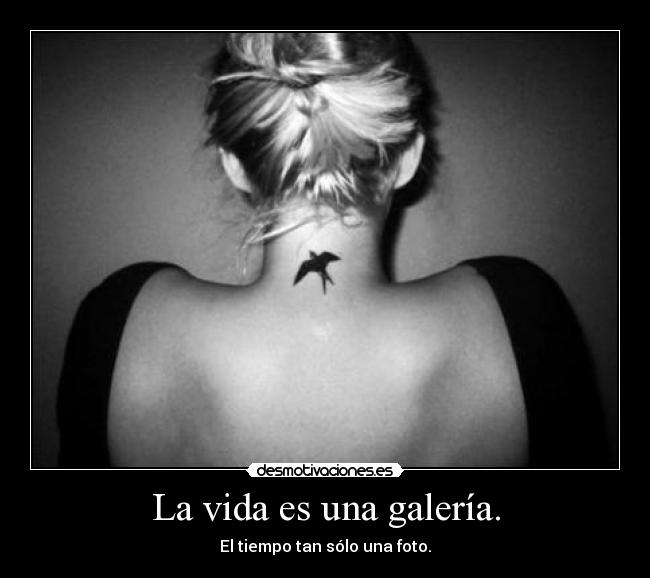 La vida es una galería. - El tiempo tan sólo una foto.