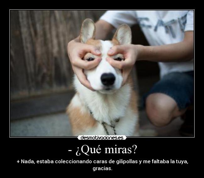 - ¿Qué miras? - 