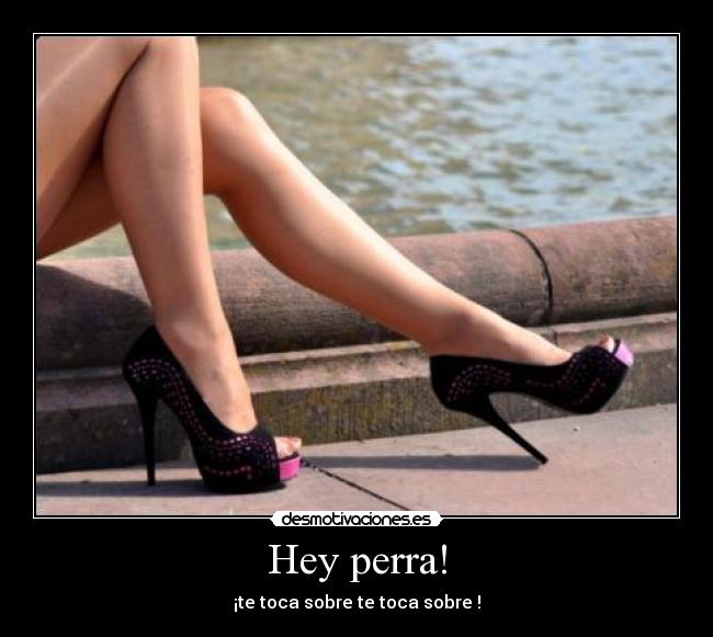 Hey perra! - ¡te toca sobre te toca sobre !