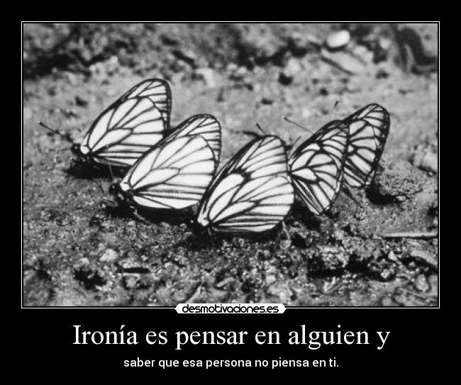 Ironía es pensar en alguien y - saber que esa persona no piensa en ti.
