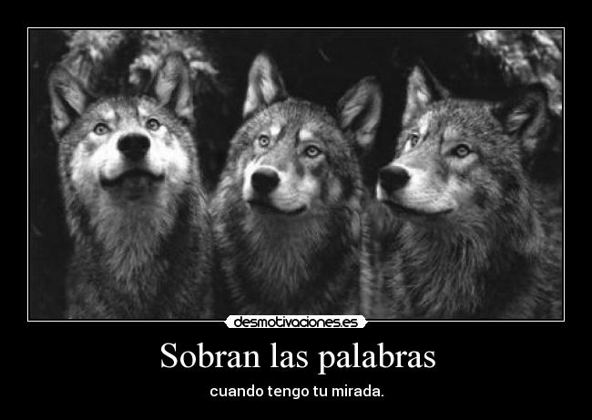 Sobran las palabras - cuando tengo tu mirada.