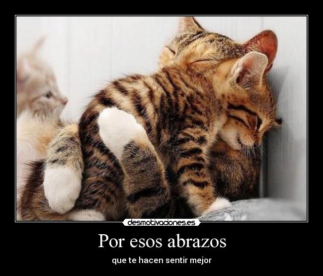 Por esos abrazos - que te hacen sentir mejor