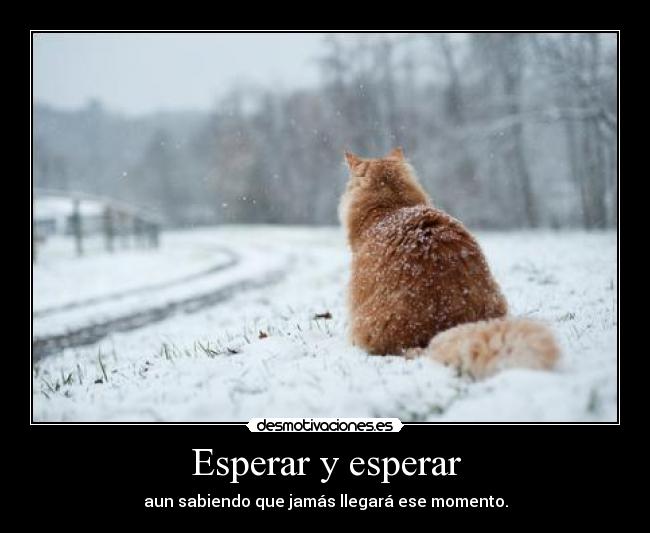 Esperar y esperar - aun sabiendo que jamás llegará ese momento.