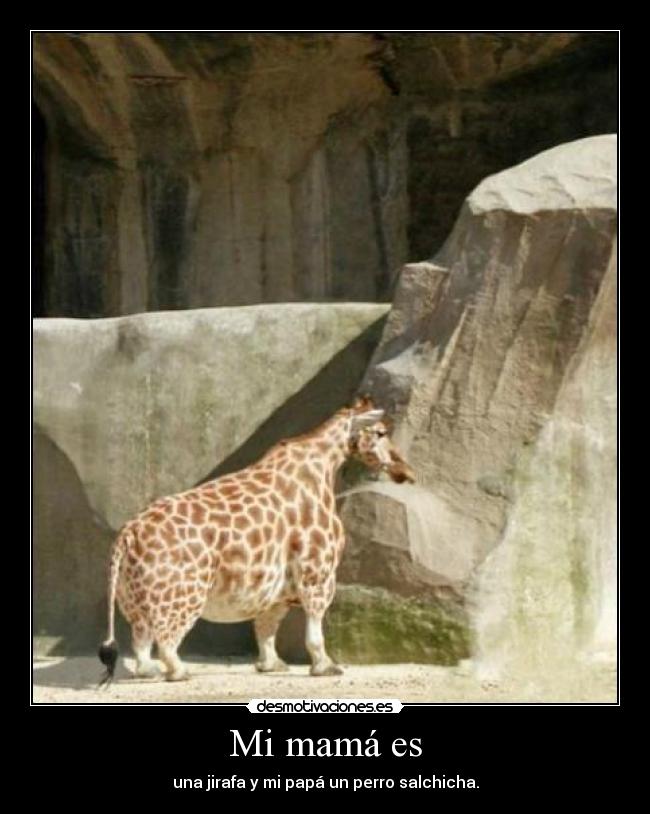 Mi mamá es - una jirafa y mi papá un perro salchicha.