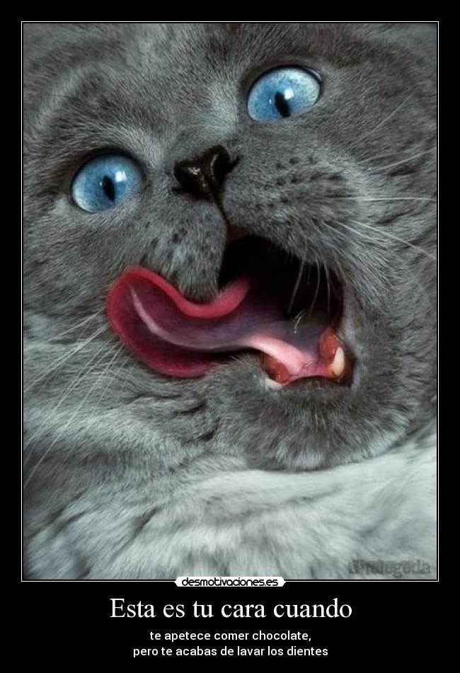 Esta es tu cara cuando -