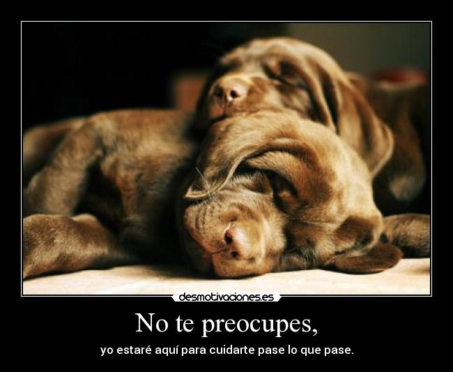No te preocupes, - yo estaré aquí para cuidarte pase lo que pase.
