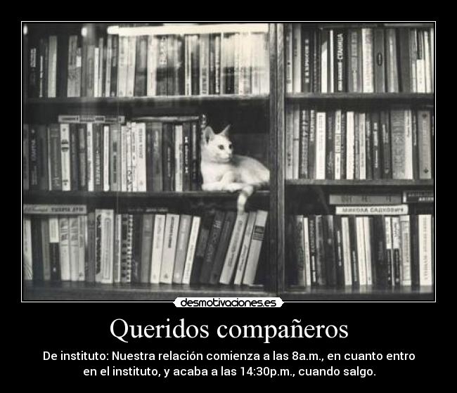 Queridos compañeros - De instituto: Nuestra relación comienza a las 8a.m., en cuanto entro
en el instituto, y acaba a las 14:30p.m., cuando salgo.