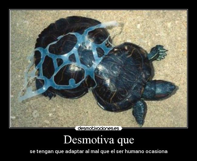 Desmotiva que -