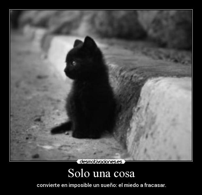 Solo una cosa - convierte en imposible un sueño: el miedo a fracasar.