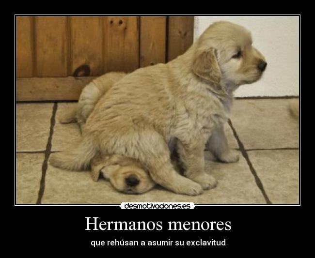 Hermanos menores -