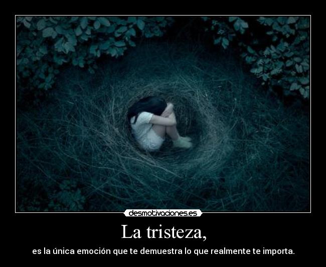 La tristeza, - es la única emoción que te demuestra lo que realmente te importa.