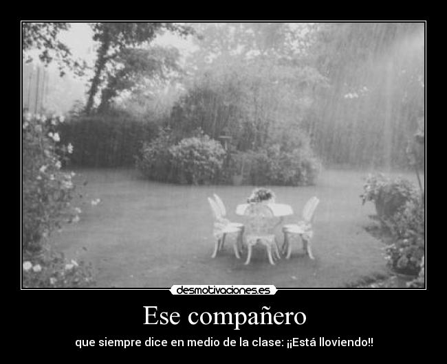 Ese compañero - que siempre dice en medio de la clase: ¡¡Está lloviendo!!