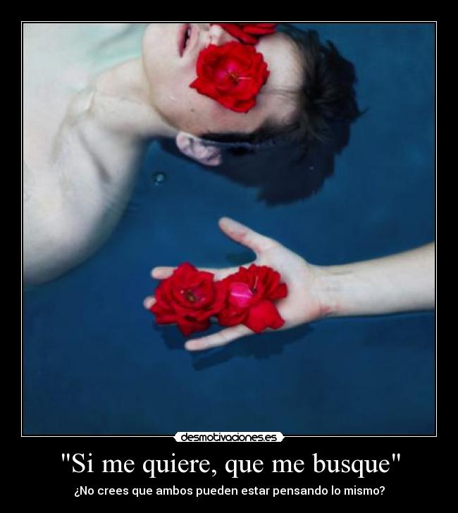 Si me quiere, que me busque -