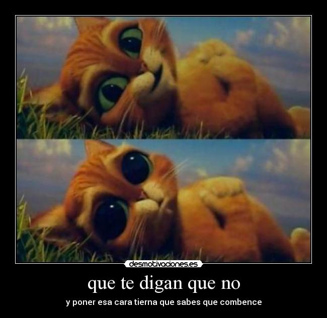 que te digan que no - 