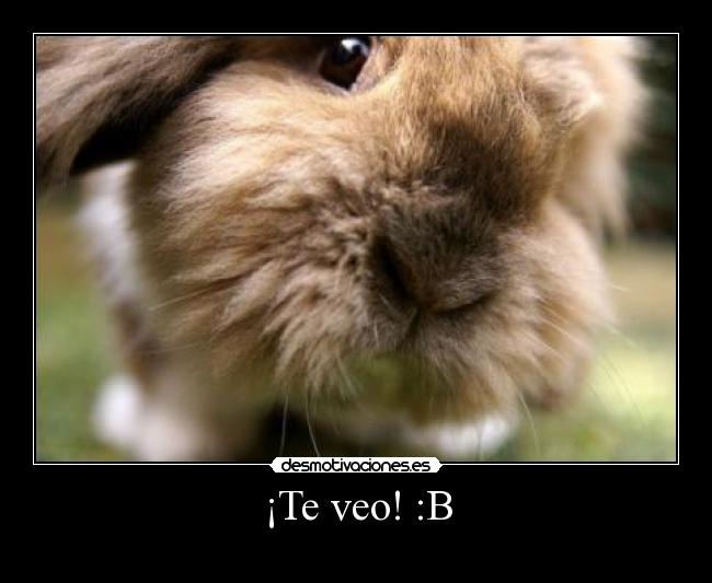 ¡Te veo! :B -