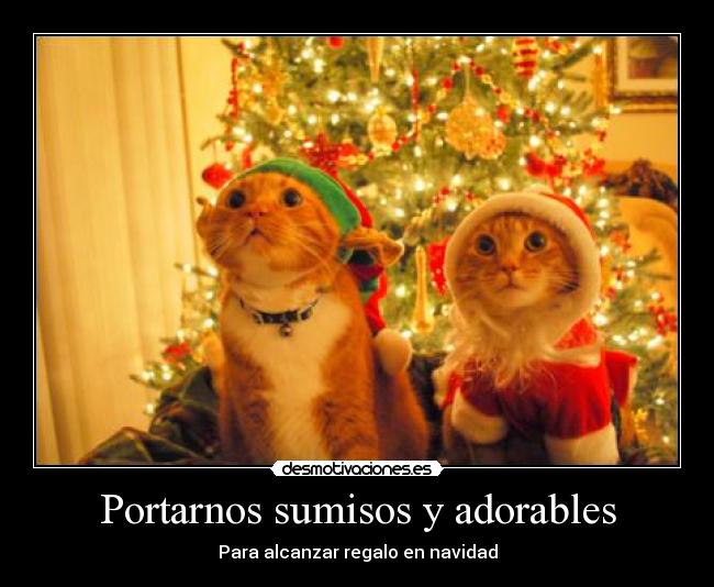 Portarnos sumisos y adorables - Para alcanzar regalo en navidad