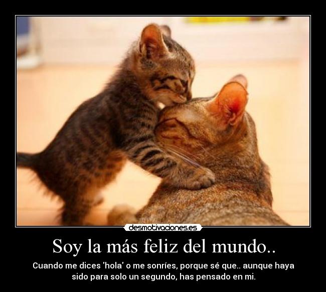 carteles mundo loveyouu desmotivaciones