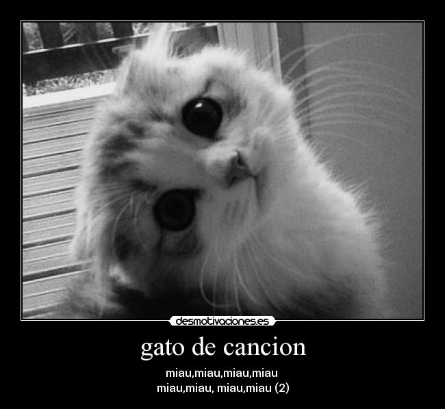 gato de cancion - miau,miau,miau,miau
miau,miau, miau,miau (2)