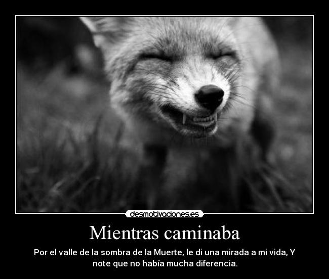 Mientras caminaba - Por el valle de la sombra de la Muerte, le di una mirada a mi vida, Y
note que no había mucha diferencia.