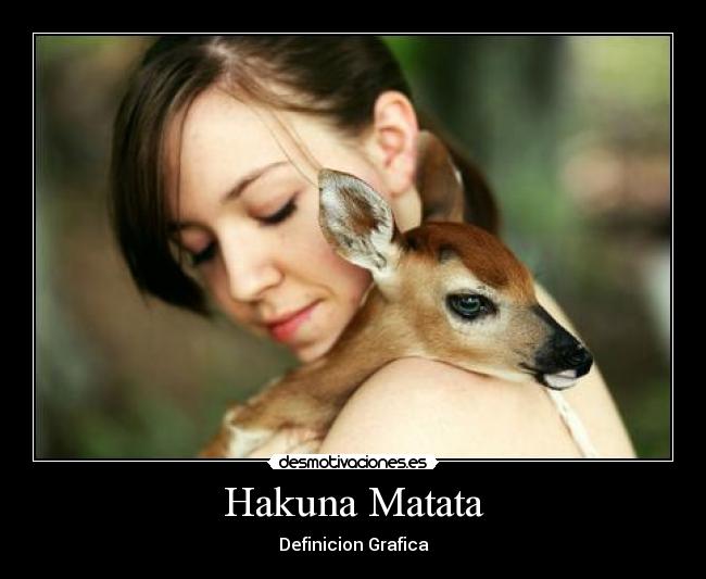 Hakuna Matata - Definicion Grafica