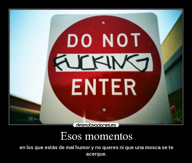 Esos momentos - en los que estás de mal humor y no queres ni que una mosca se te acerque.