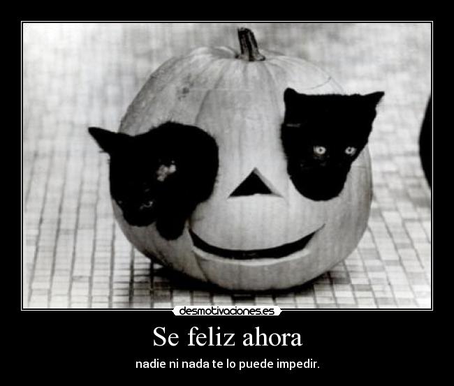 Se feliz ahora - nadie ni nada te lo puede impedir.